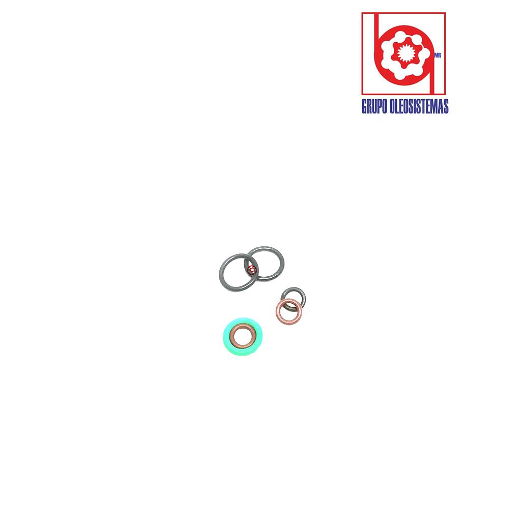 EMPAQUE SAUER  MOTOR 51/060 16 (E1-5,F1-2H) KI