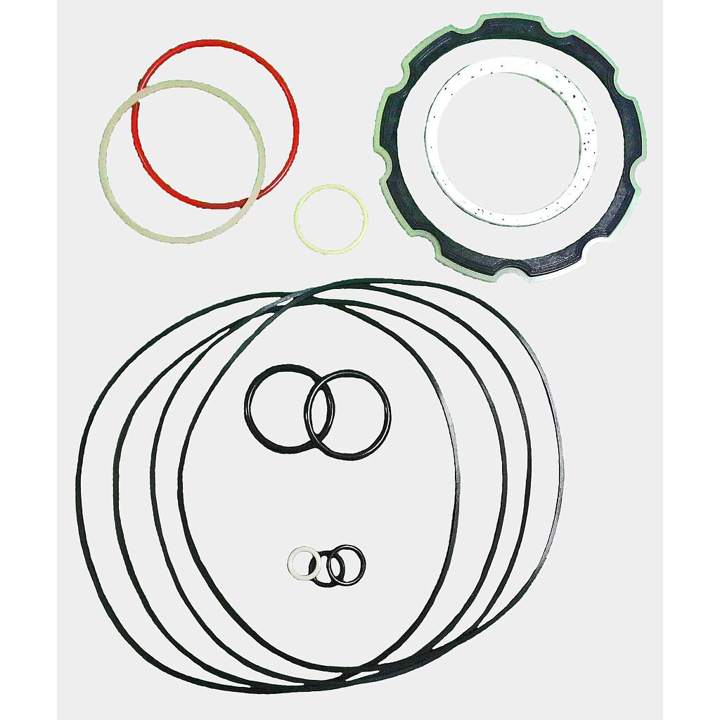 KIT DE SELLOS CHARLYNN MOTOR BIS 30 155 003/177