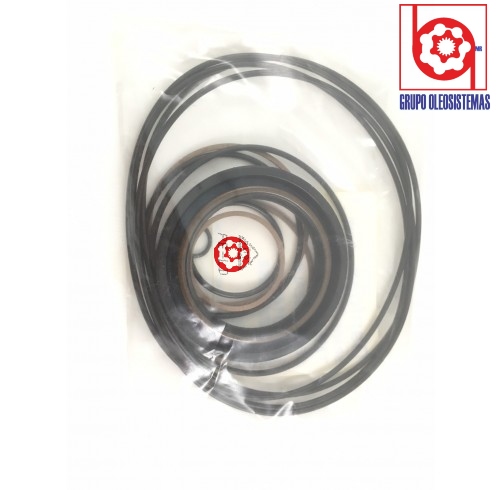 KIT DE SELLOS SAUER DANFOSS MOTOR TMKW250