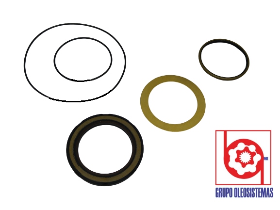 KIT DE SELLOS OEM DE CHARLYNN FRONTAL MOTOR 6000 