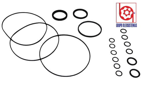 KIT DE SELLOS  OEM DE CHARLYNN MOTOR SERIES S