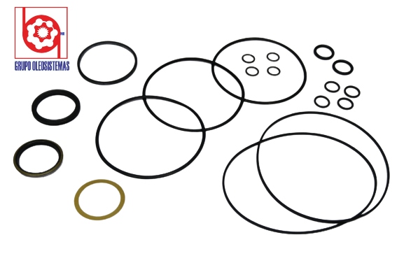 KIT DE SELLOS  OEM DE CHARLYNN MOTOR SERIES S