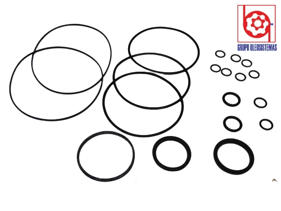 KIT DE SELLOS  OEM DE CHARLYNN MOTOR SERIE    S