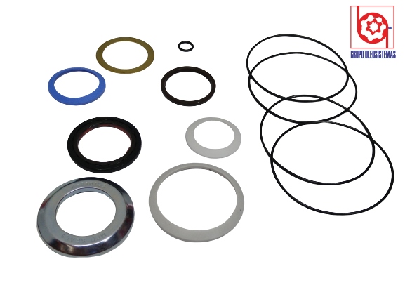 KIT DE SELLOS  OEM DE CHARLYNN FRONTAL MOTOR SERIE    WHEEL 2000