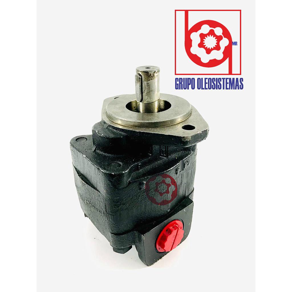 BOMBA ENGRANES COMERCIAL P-315 A193FGAB12-66
